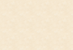 top_bg05